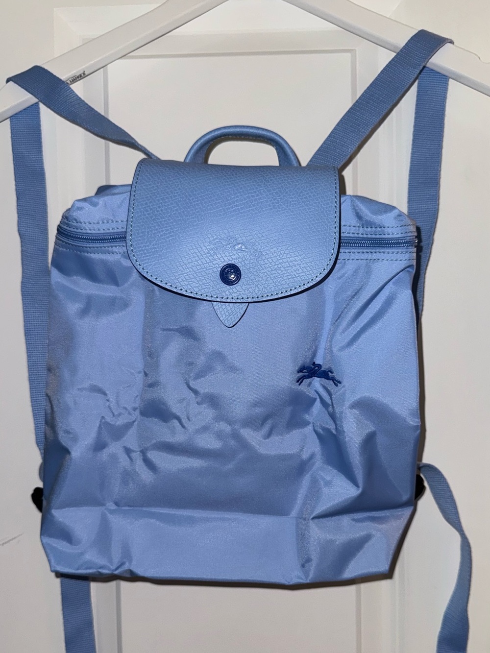 Longchamp Light Blue Nylon Backpack